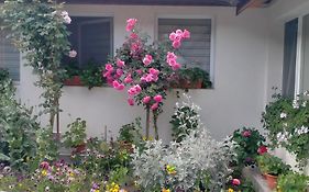 Casa Luminița