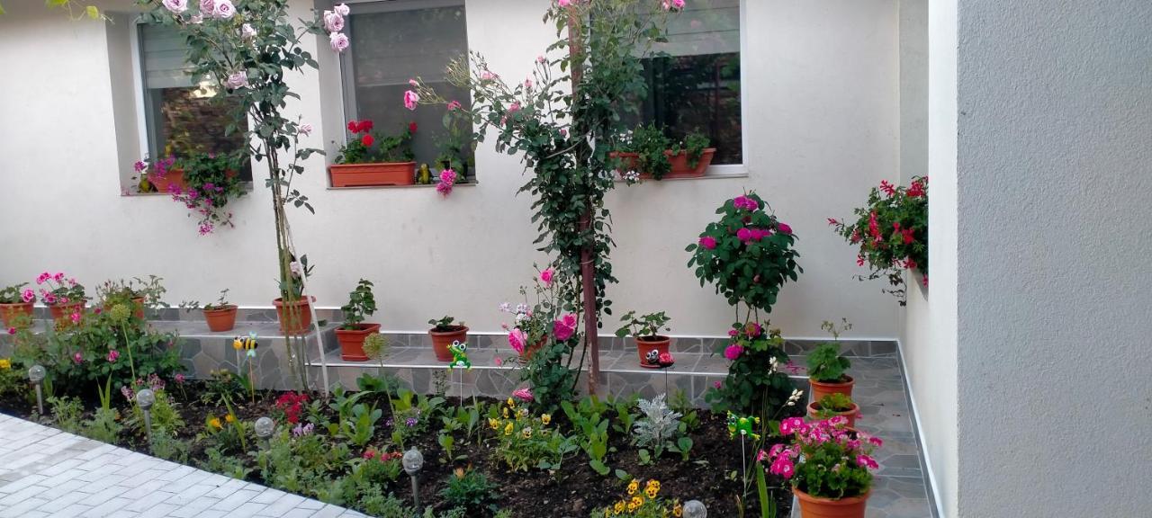 Casa Luminița Villa Ieşelniţa Exterior foto