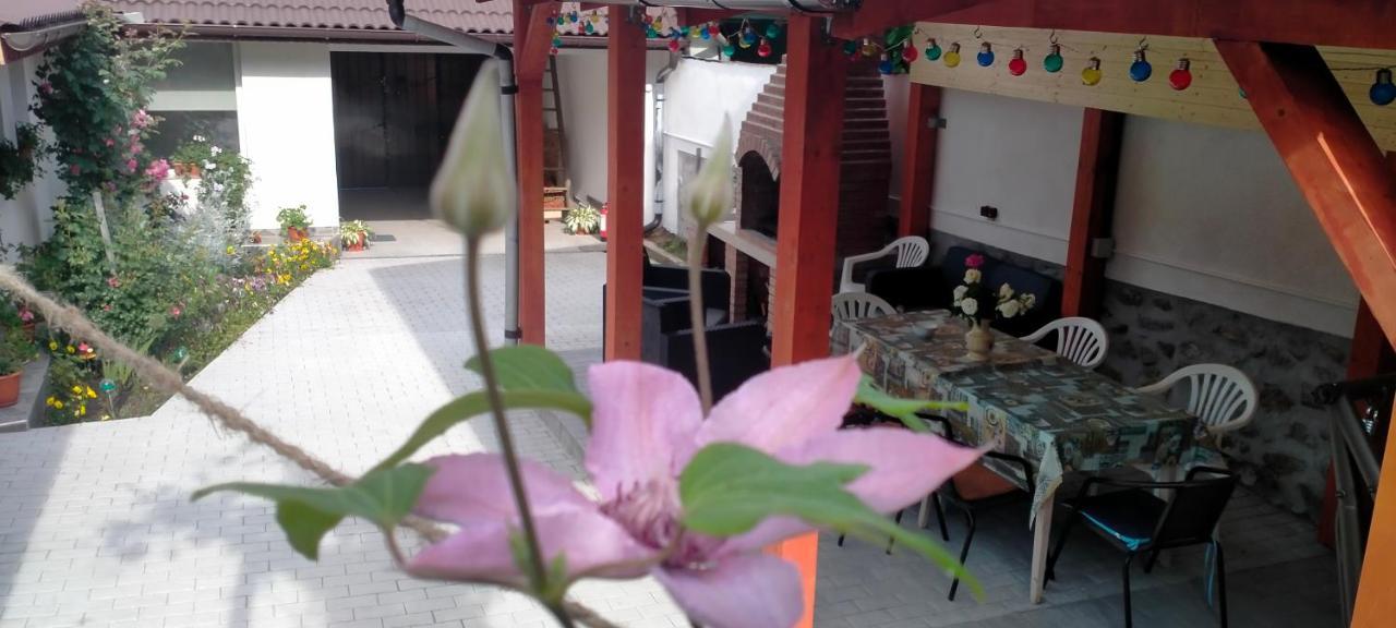 Casa Luminița Villa Ieşelniţa Exterior foto