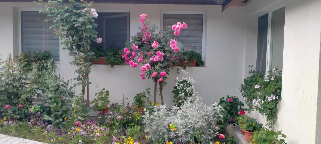 Casa Luminița Villa Ieşelniţa Exterior foto